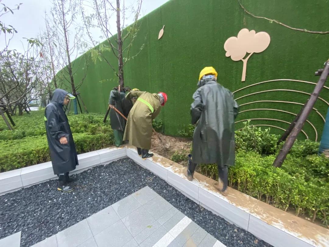 1627264621517139.jpg 微信圖片_20210726095433.jpg